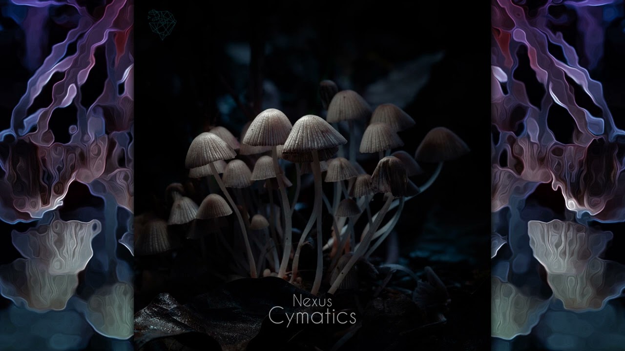 NEXUS - Cymatics [Full Album]