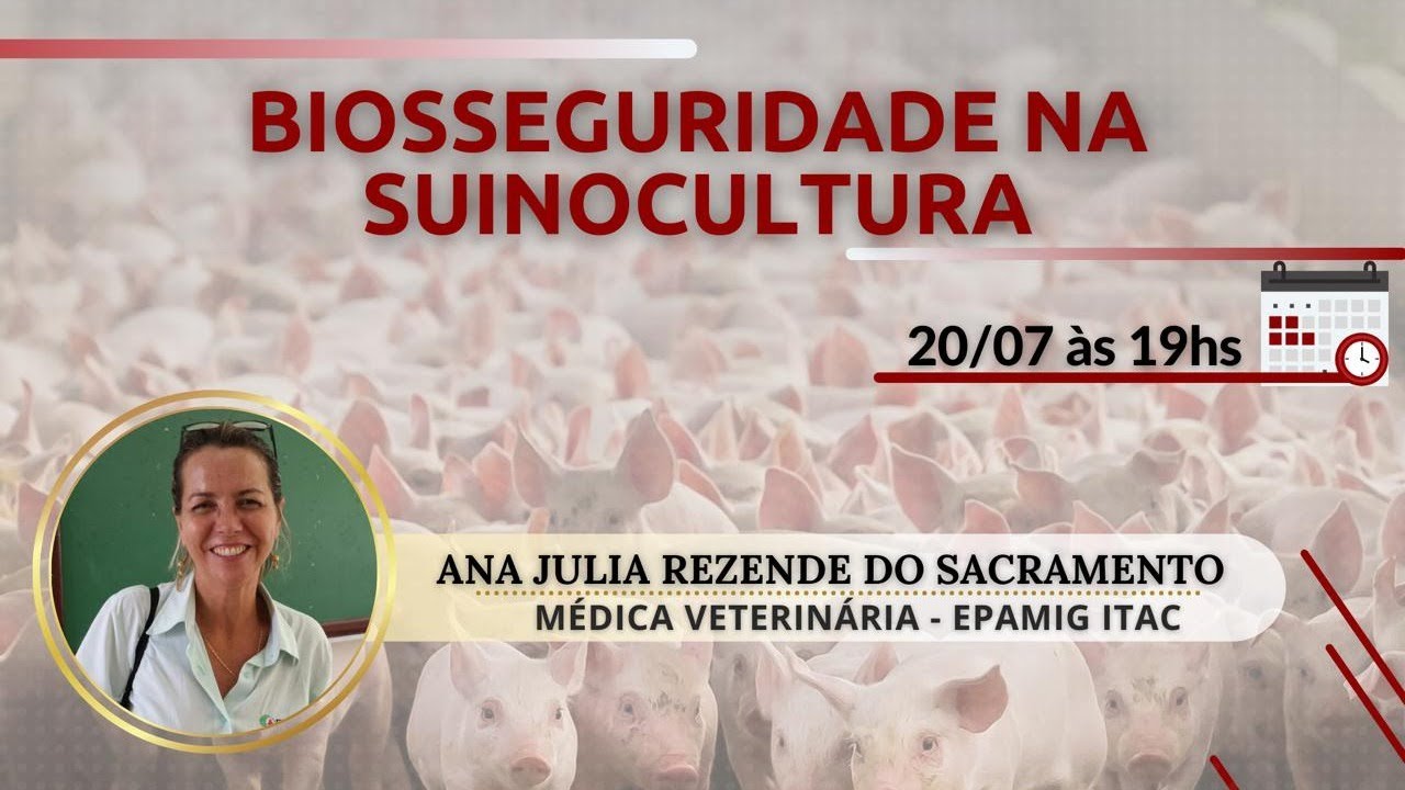 Biosseguridade na Suinocultura