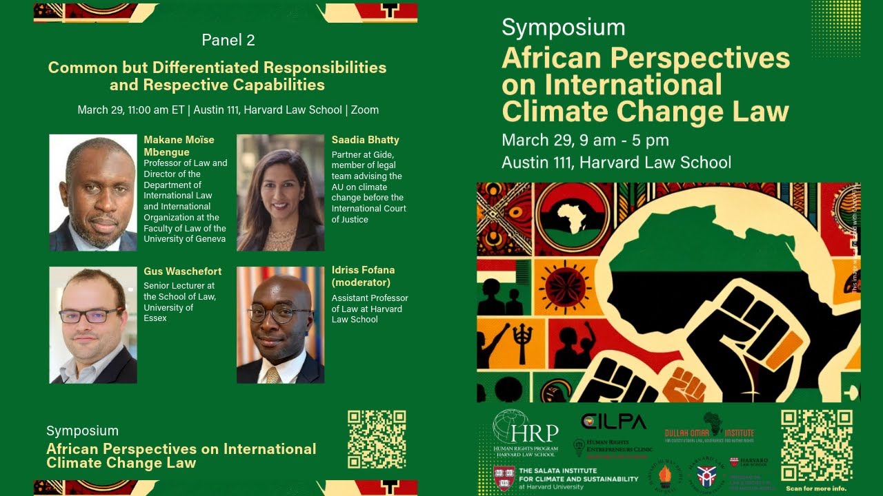 Panel 2: Common but Differentiated Responsibilities and Respective Capabilities
