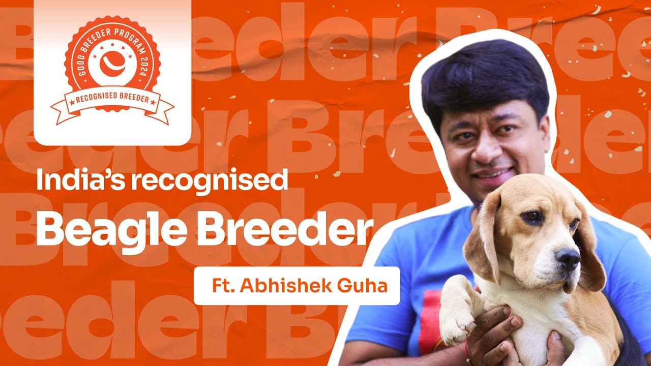 Why I chose beagles! | Breeder Journey Ft. Abhishek Guha | Happy Pet