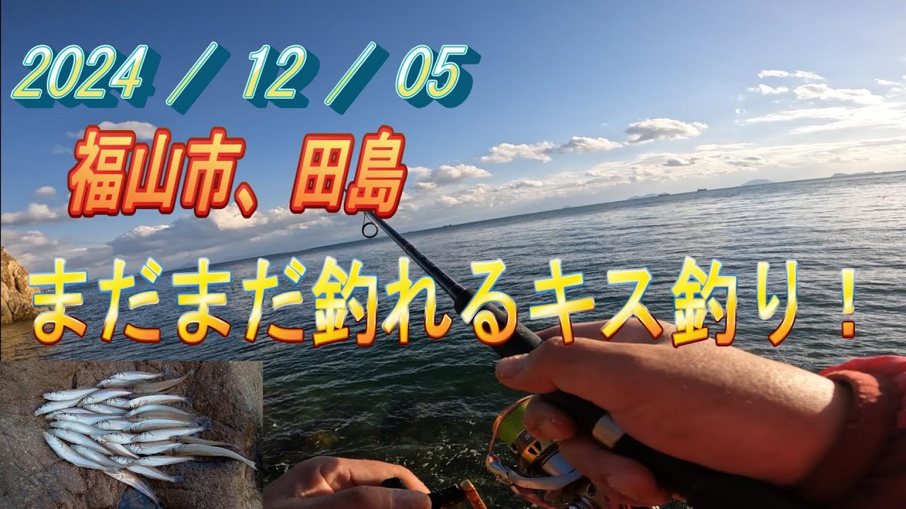 田島の落ちギス釣り、12月5日まだまだ釣れていますよ。