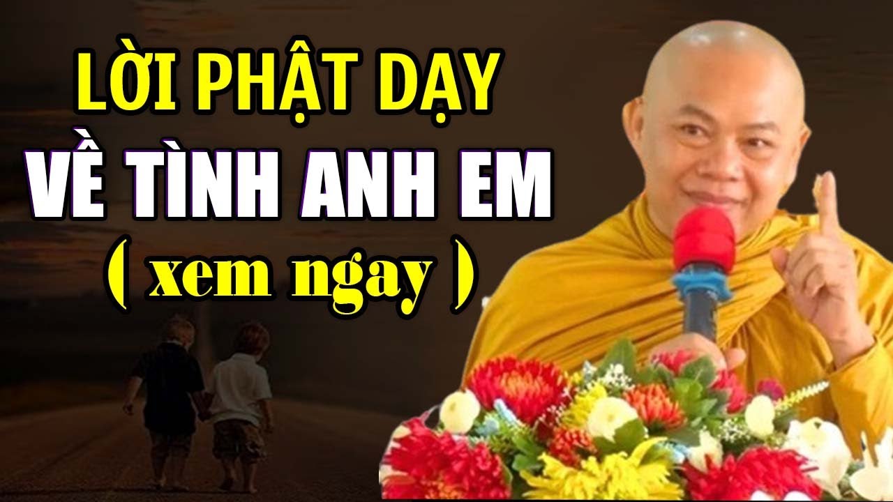 LỜI PHẬT DẠY VỀ TÌNH ANH EM | Thầy Thích Minh Đạo