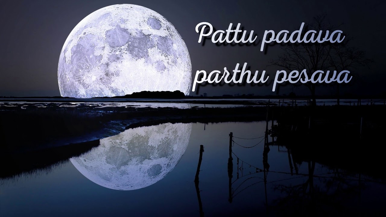 Pattu padava lyrics song