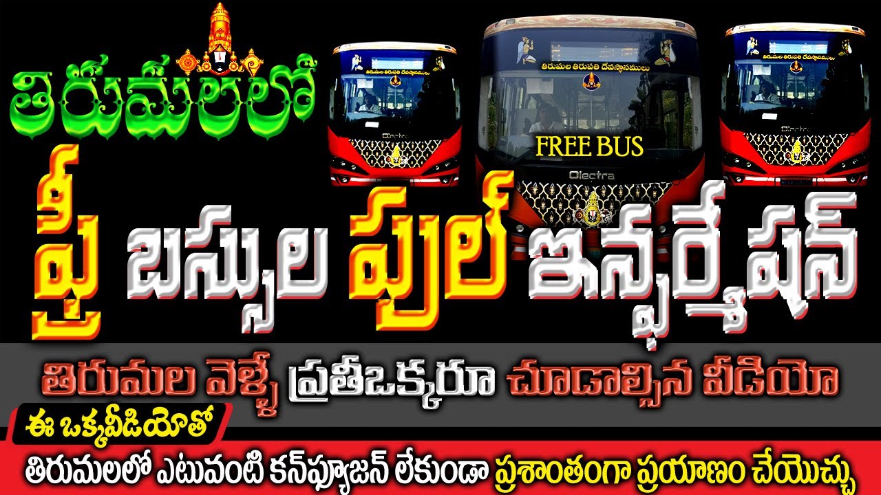 తిరుమలలో ఉచిత బస్సులపై పూర్తి సమాచారం | శ్రీవారి ధర్మరథం | Free bus full info in tirumala #imb