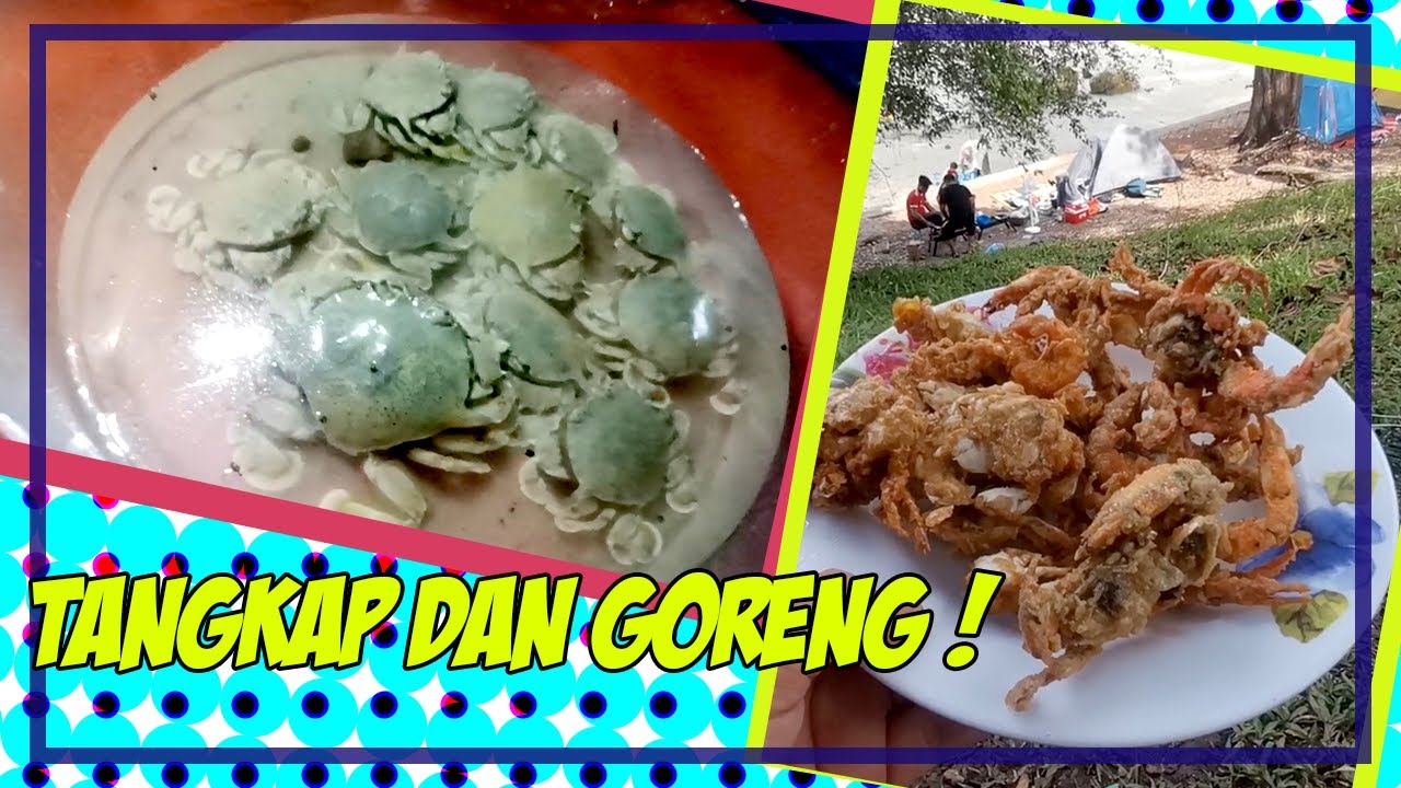 Menangkap Ketam Ragi Di Pantai Purnama, Port Dickson.