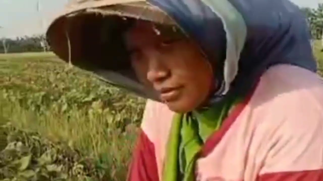 PEJUANG RUPIAH, SEMUA ORANG BUTUH UANG