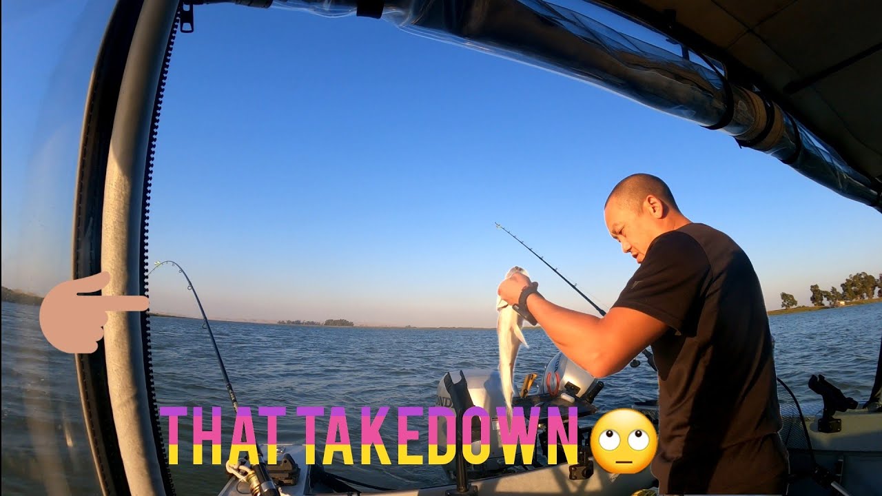 California Delta Striper Fishing | Montezuma Slough | Nuv Ntses Striper Tum Zoo Kawg