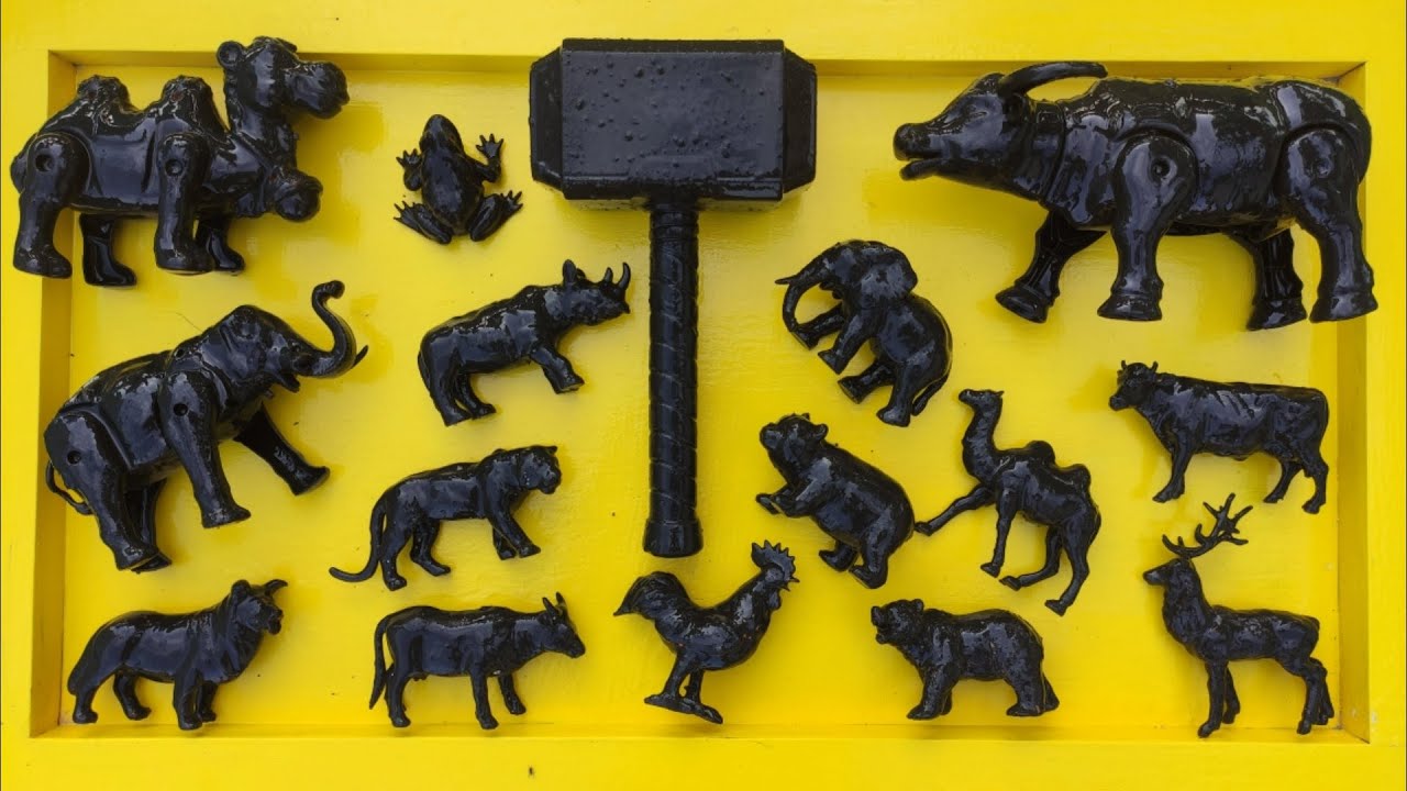 Membersihkan hewan sapi, gajah, ayam, bebek, kelinci, unta, zebra, kangguru, kuda, simpanse