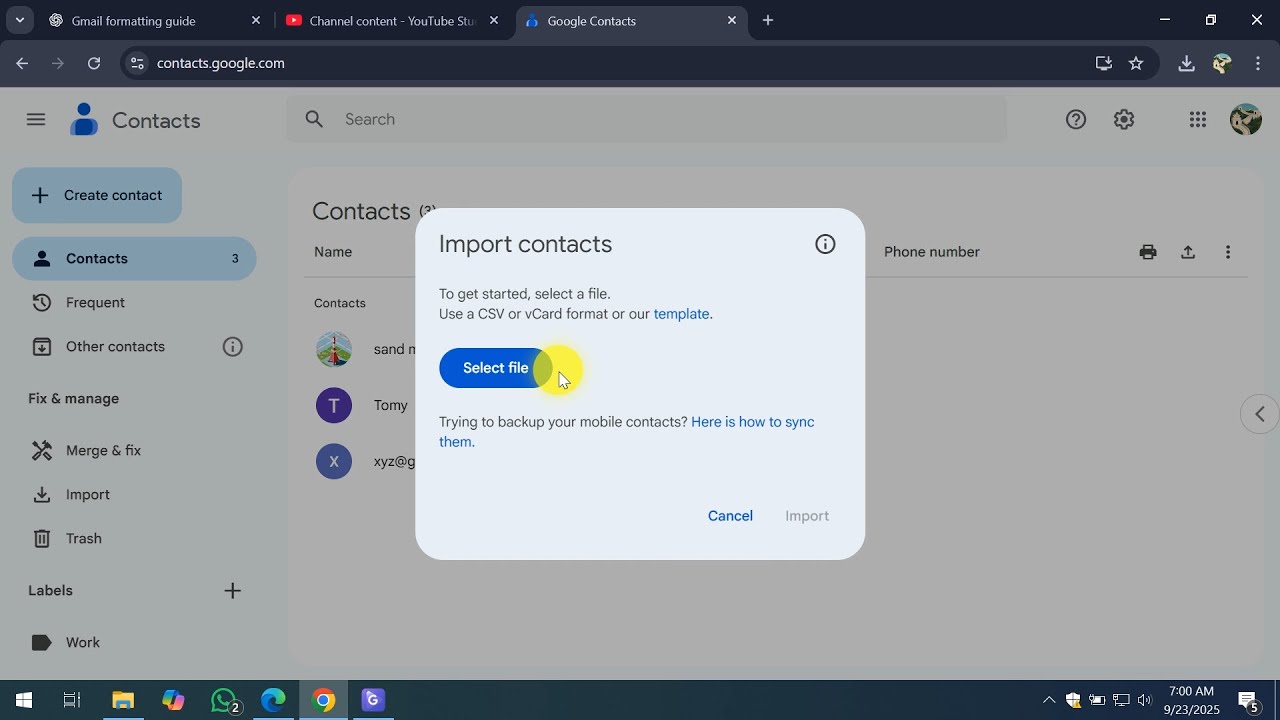 How To Sync Gmail Contacts with Outlook