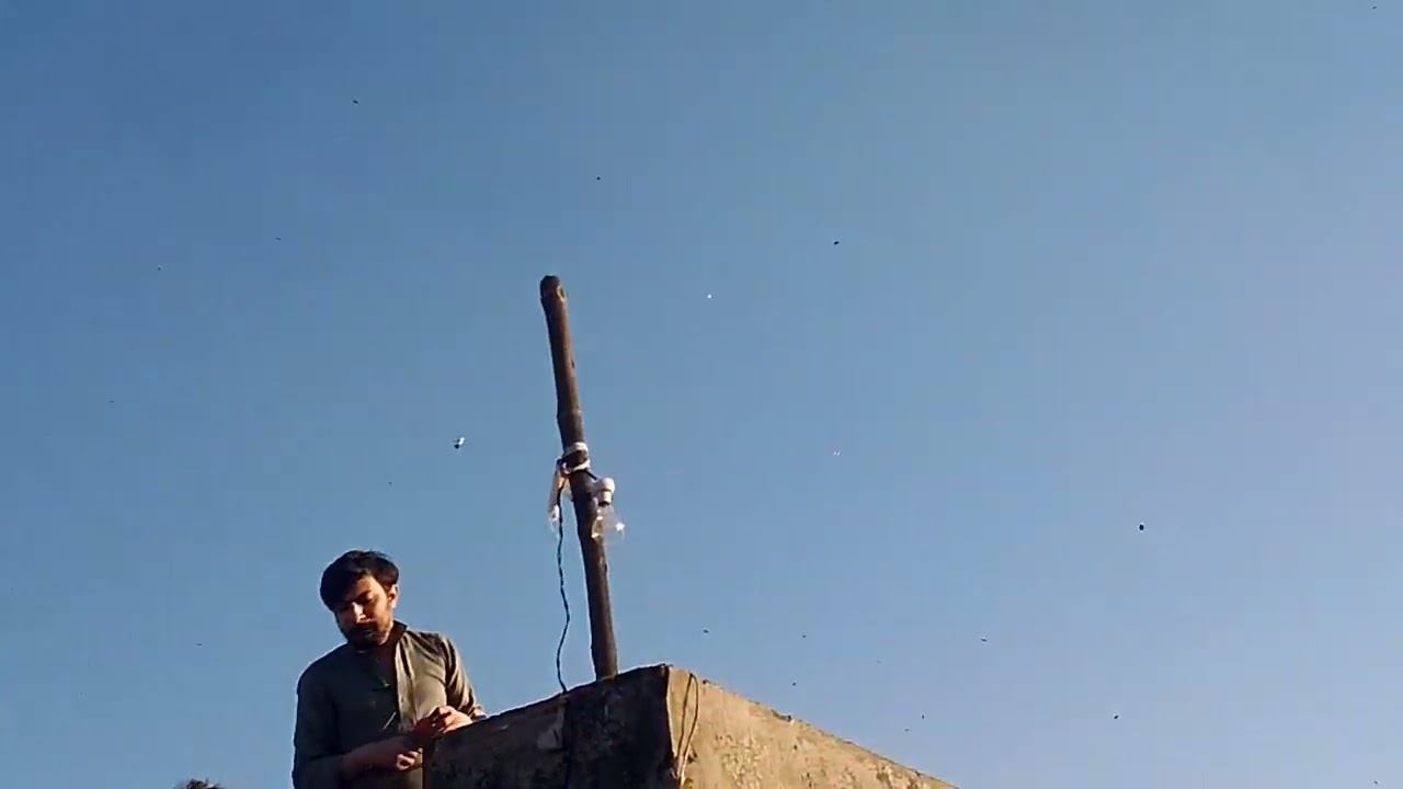 Basant vibes#sunny day#bright day
