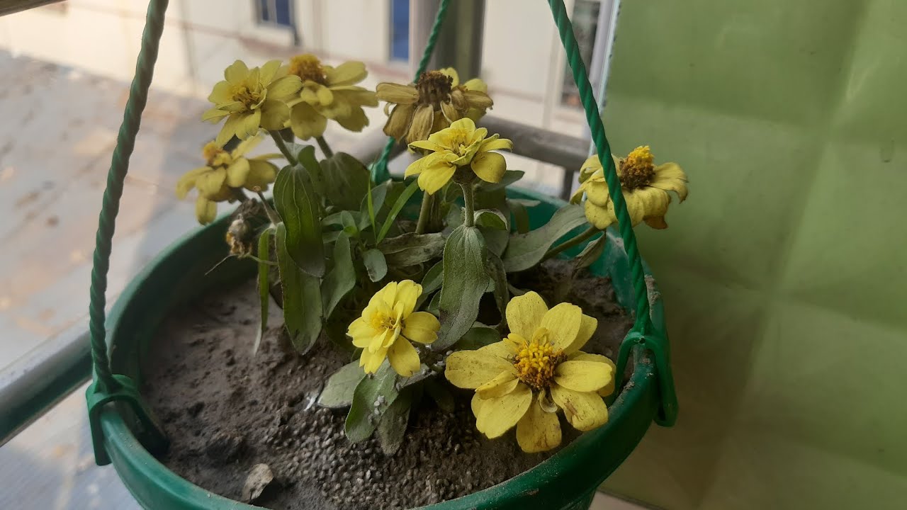 আজকে আবার গেলাম আমার অসুস্থ বোনকে দেখতে🥺🍃