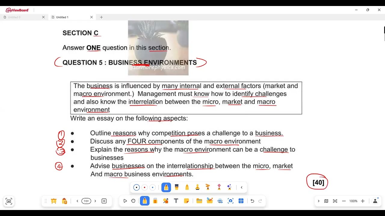 Business Studies Grade 10 March Exam Term 1 Business Environments and Business Operations Essays