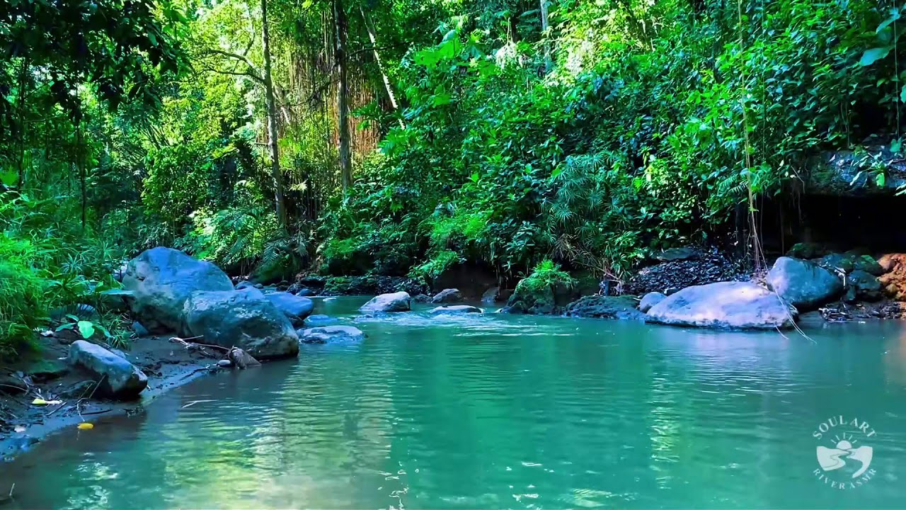 River Sounds for Sleeping. Soothing Forest Stream Ambience for Sleep and Meditation #river 5
