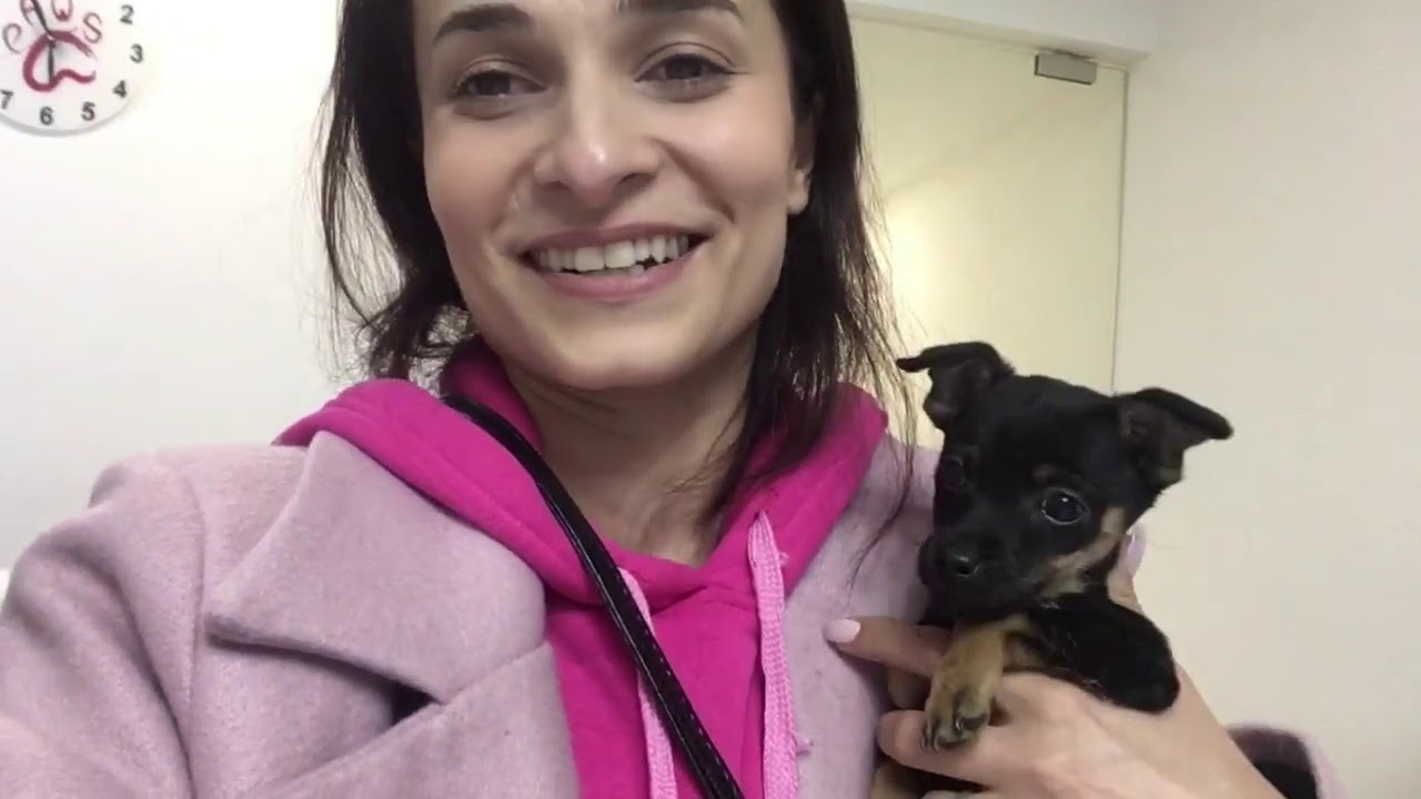 Գնում ենք պատվաստման