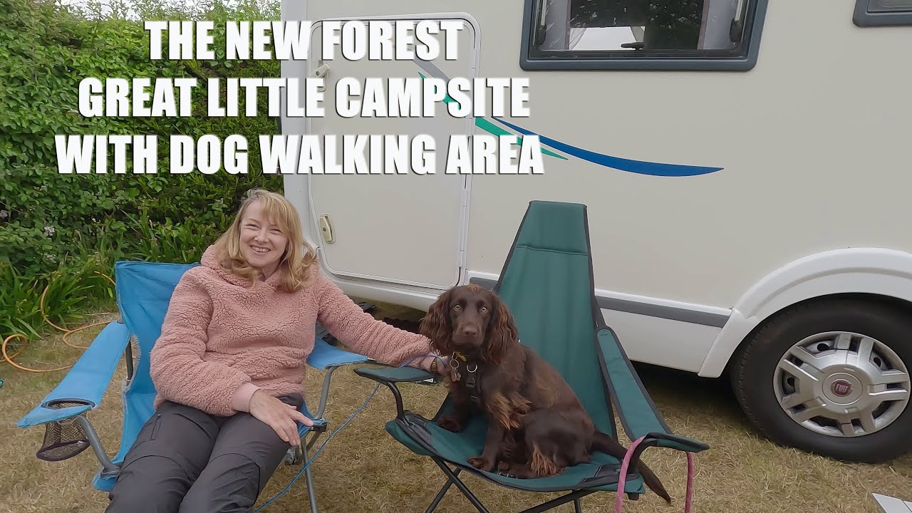 Exploring New Forest Bliss: A Dog-Friendly CL Campsite