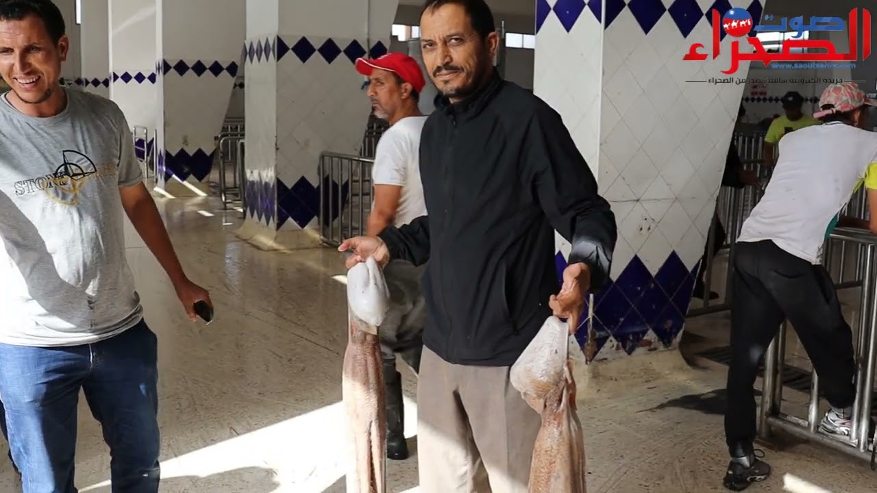 رئيس جهة الداخلة – وادي الذهب يتفقد قرية الصيد لاساركا