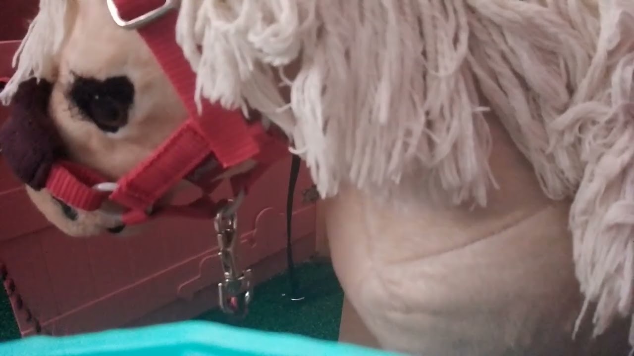 Here is the longer version 