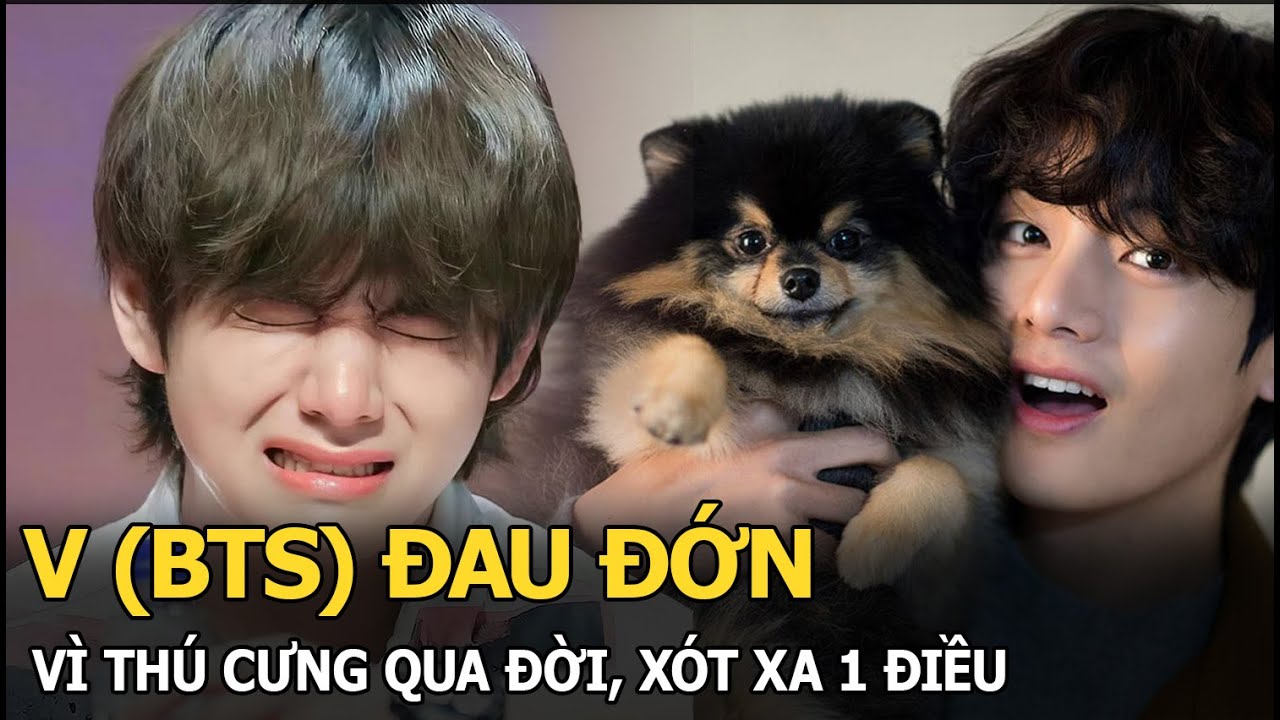V (BTS) đau đớn vì thú cưng qua đời, xót xa 1 điều