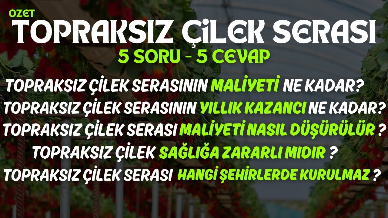 TOPRAKSIZ ÇİLEK SERASINDAN PARA KAZANMAK İÇİN EN ÖNEMLİ DETAYLAR