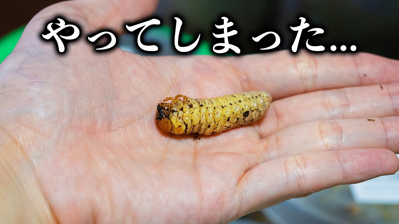 なんとかして救ってみせる