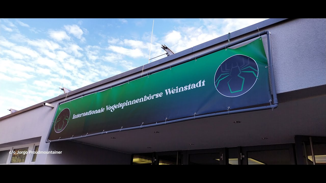 Kurzfilm: Pfui Spinne? Internationale Vogelspinnenbörse Weinstadt, 21.10.2023, Prinz Eugen Halle