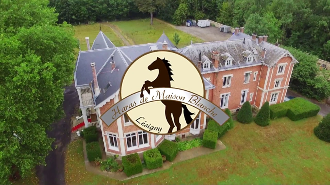 Haras de Maison Blanche