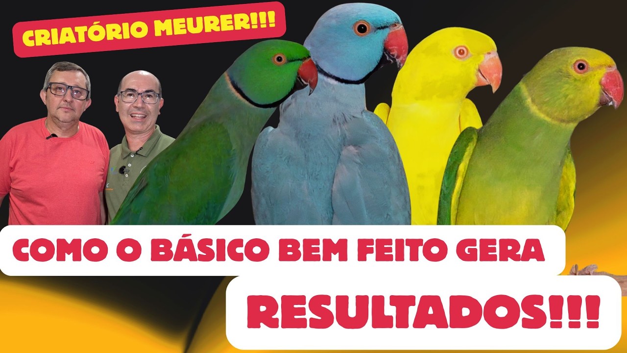 NO CRIATÓRIO MEURER VOCÊ vai VER o SIMPLES BEM FEITO!!!