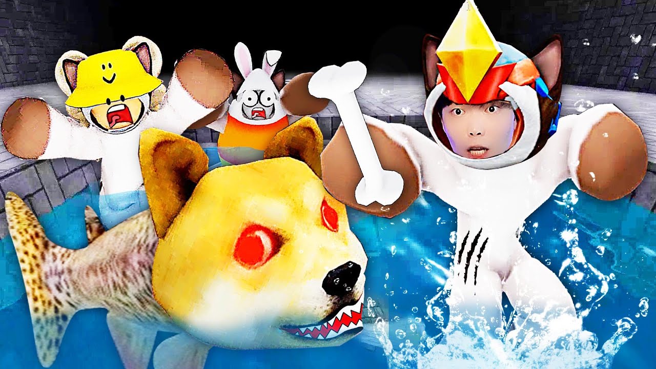Doge神煩狗頭後室，狗頭為了能在下水道生存，進化出魚尾巴變成了狗頭魚！ | Roblox【吊德斯DioDeS】