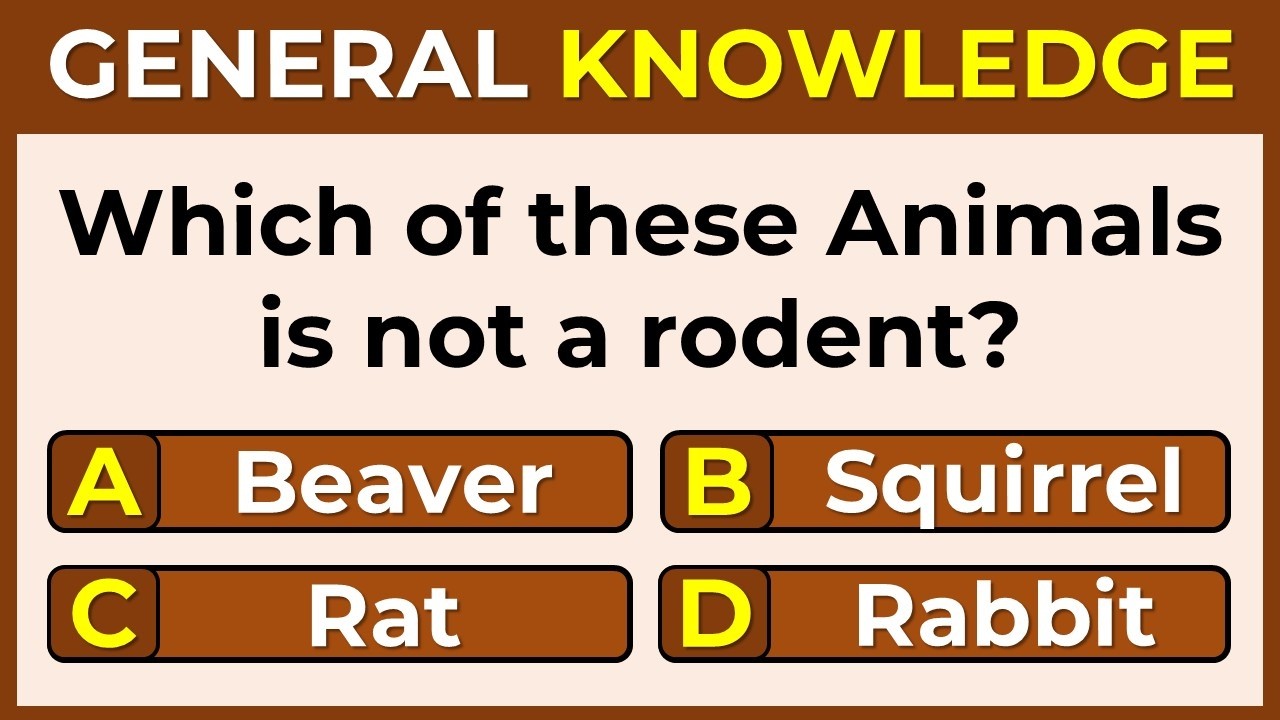 Only 3% Can Score 25/25 on This General Knowledge Quiz!
