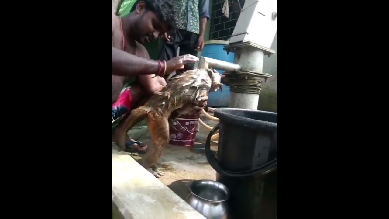 स्कूल की तैयारी स्नान करके