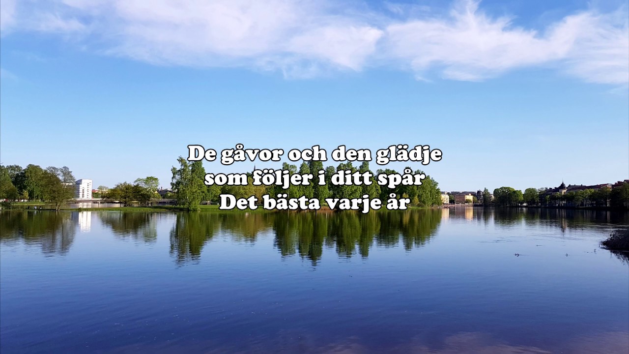 Det bästa varje år (Instrumental)