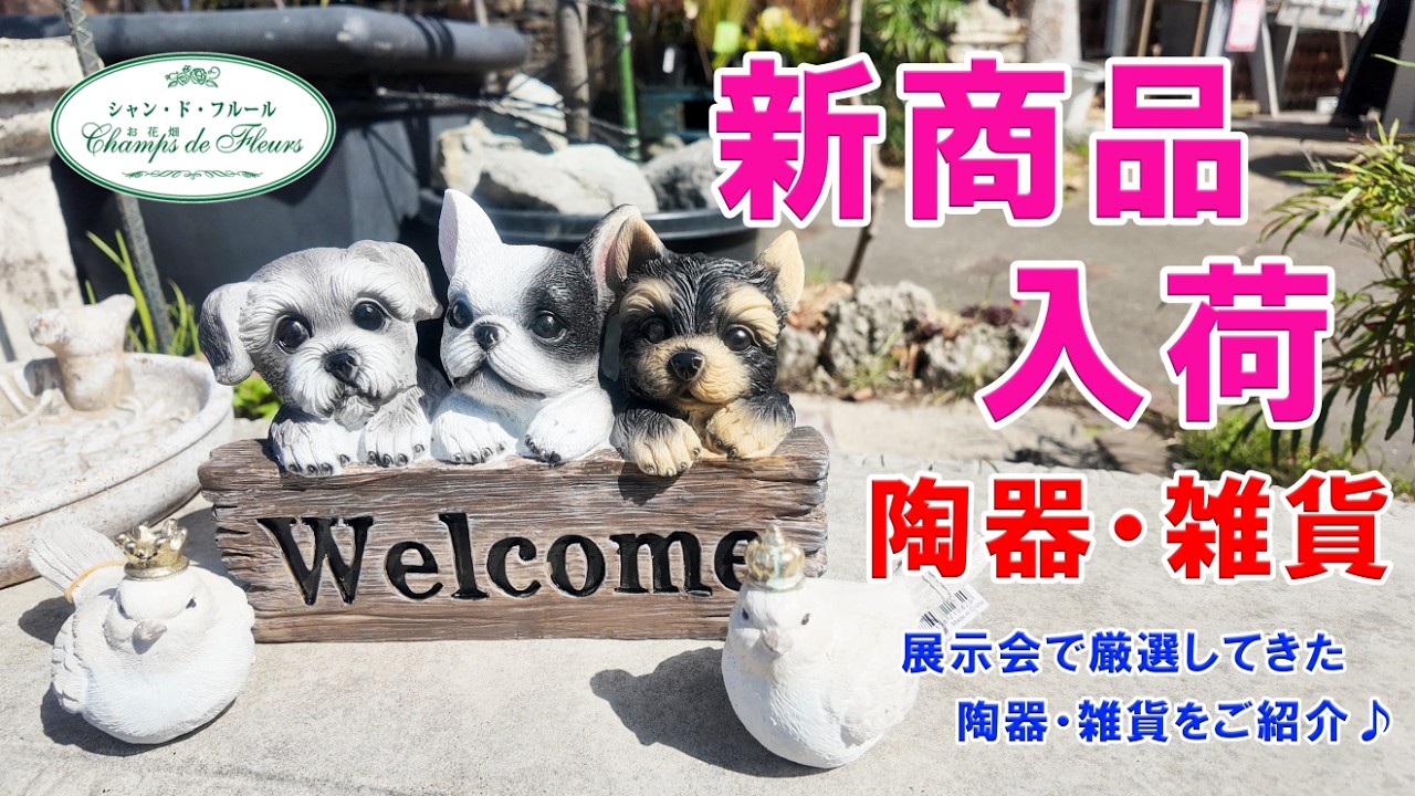 【陶器・雑貨】展示会で厳選してきた陶器や雑貨を一挙ご紹介♪【お庭を彩る素敵な一品】