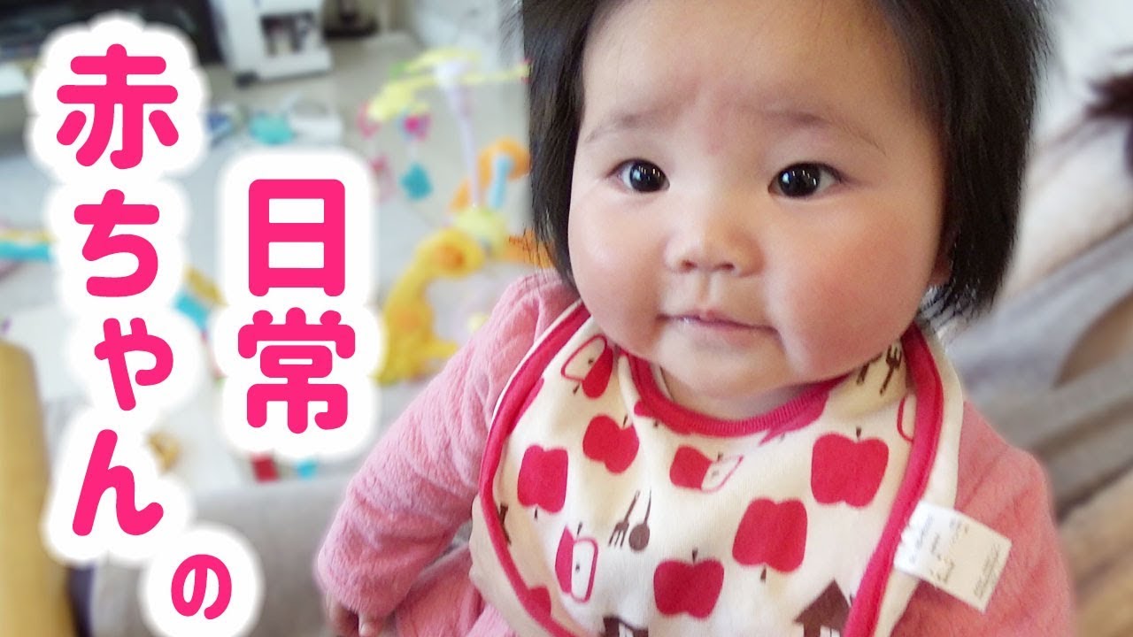 ゆずちゃんの日常🌸平和です。【生後5ヶ月】　YUZU's daily life🌸It is peace.