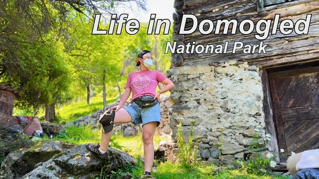 *Remote ROMANIA: Renovating 107-Year-Old Mountain Cabin on 17 Acres of Land in a National Park,Day 3