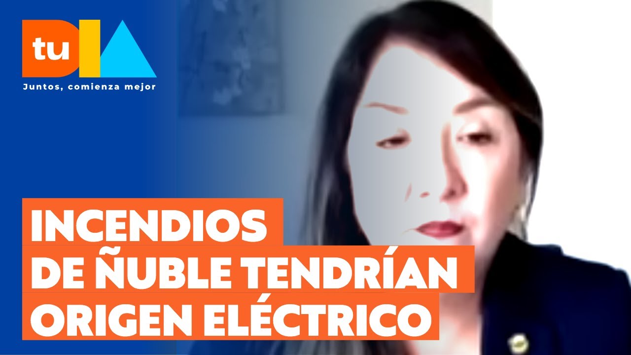 Fiscal regional de Ñuble apunta como causa de los incendios a negligencia humana u origen eléctrico