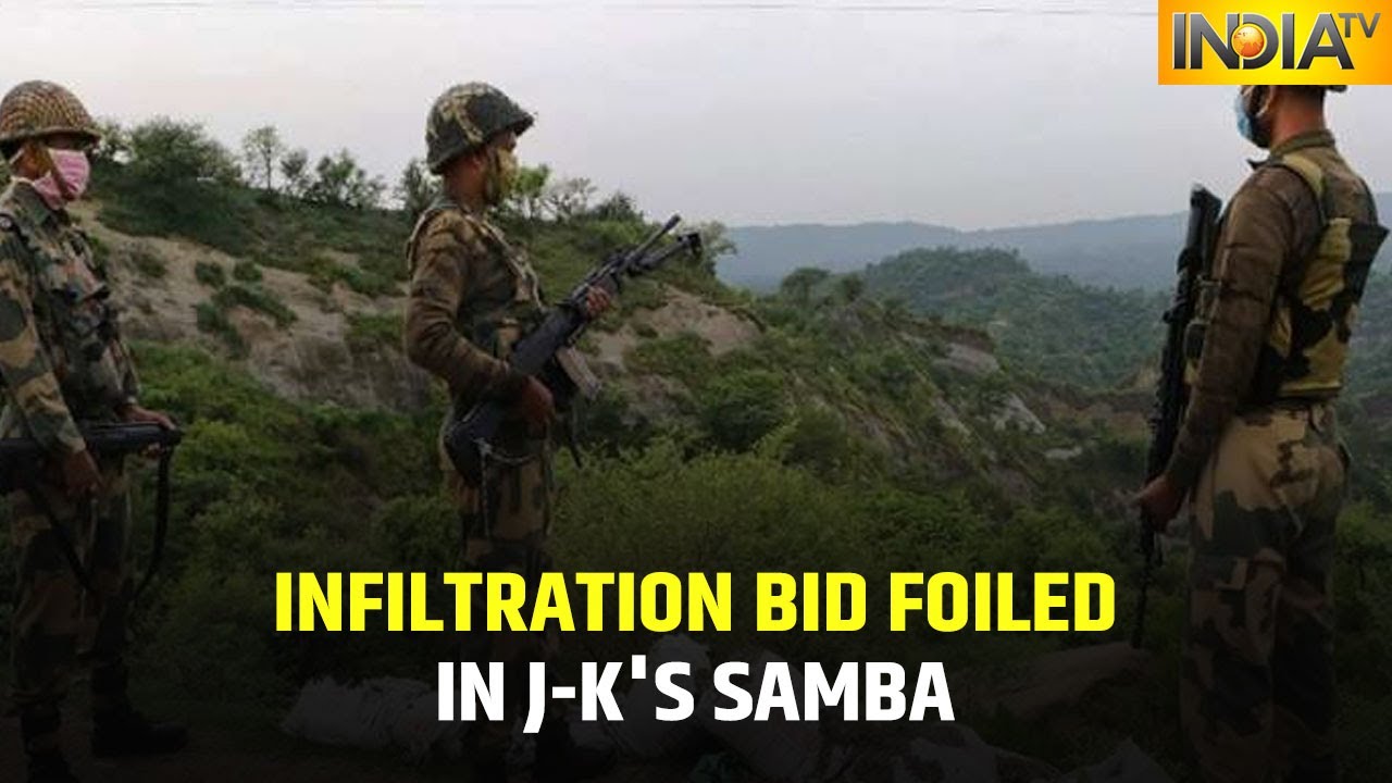 Infiltration Bid Foiled In Jammu-Kashmir's Samba, BSF Nabs Injured Pak Intruder