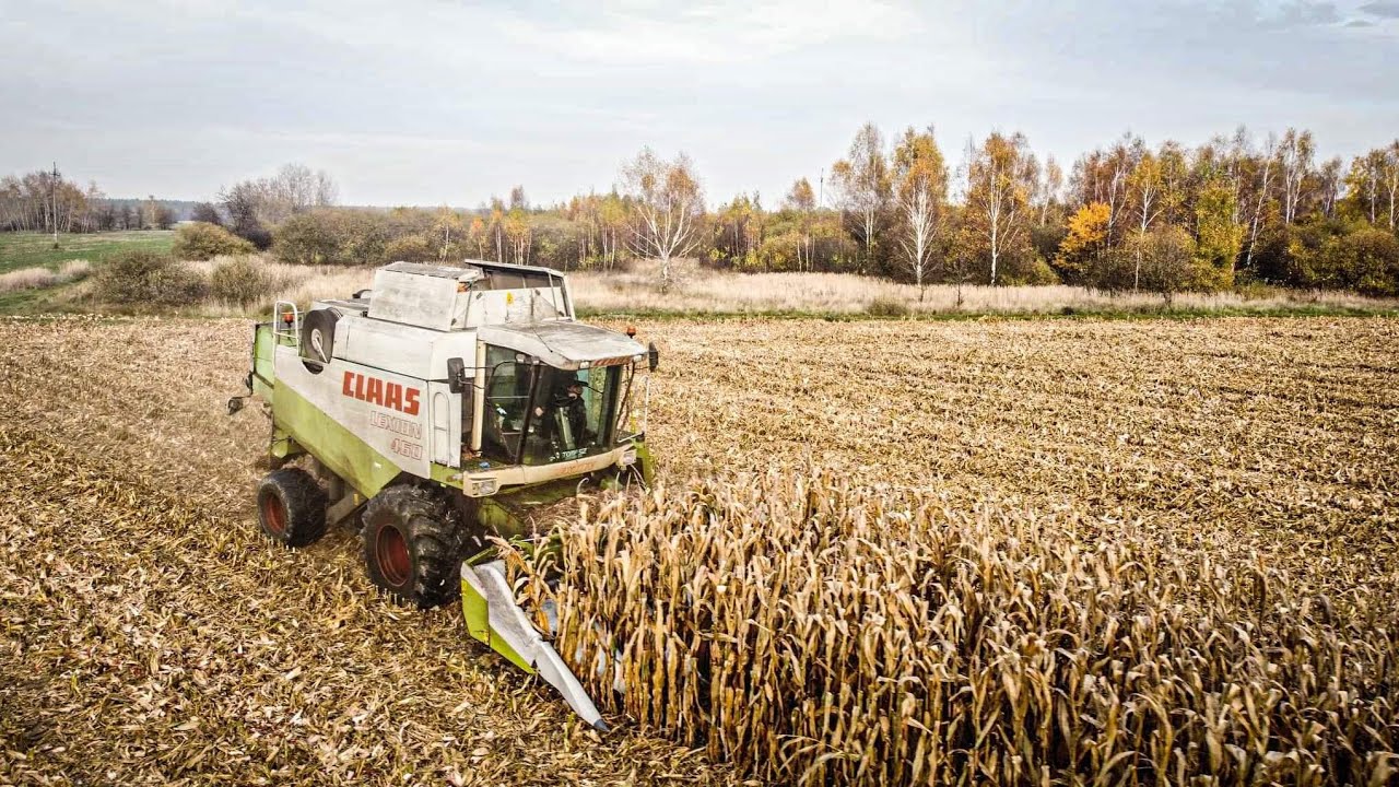 🌽 Koszenie Kukurydzy na Ziarno z Ur Paruch 🌽🔥Claas Lexion 460✔ ☆Ł&oacute;dzkie Official☆