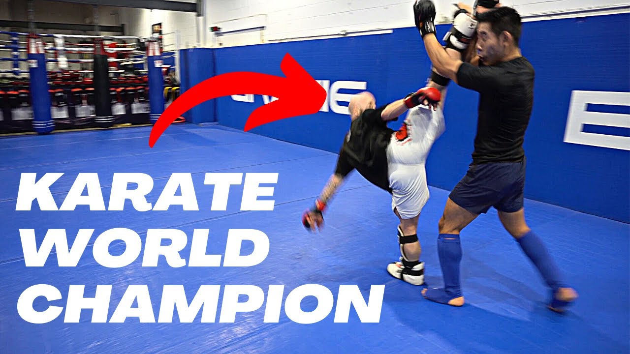 Pro MMA Fighter vs Karate World Champion (Breakdown)