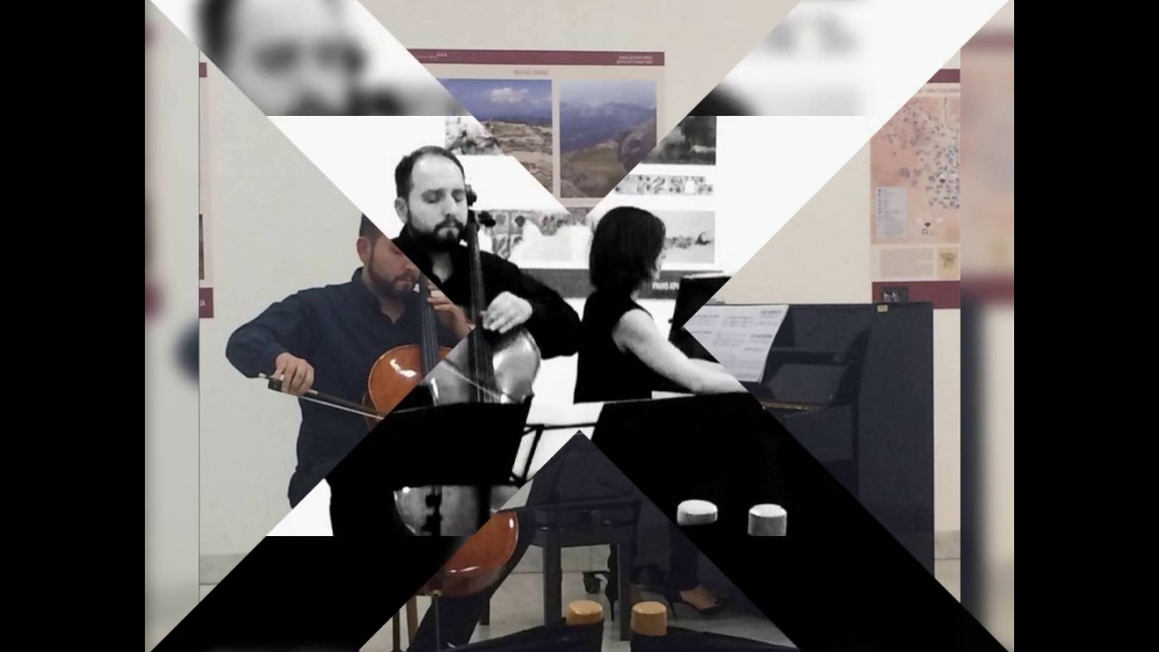 Ivana Ognjanović: 300 km for two for violoncello and piano