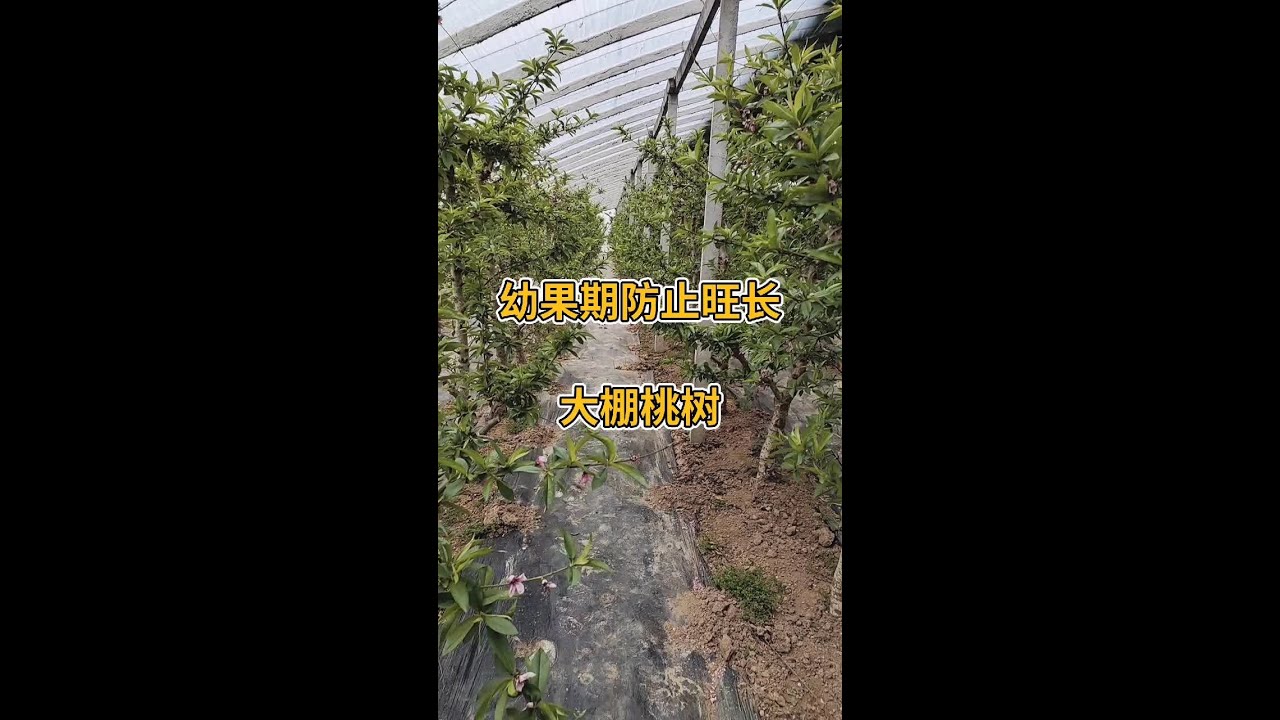 #农业技术推广 #抖音助农 #农业