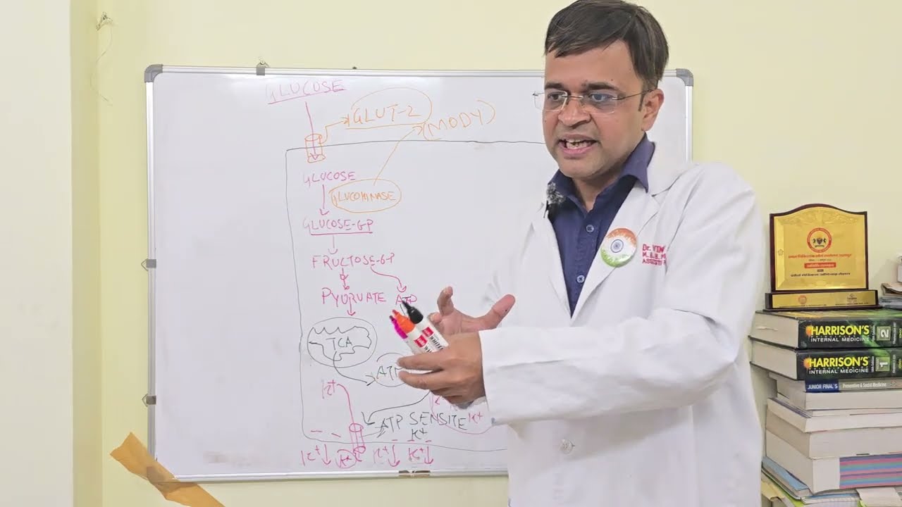 HOW HYPOKALEMIA LEADS TO GLUCOSE INTOLERANCE