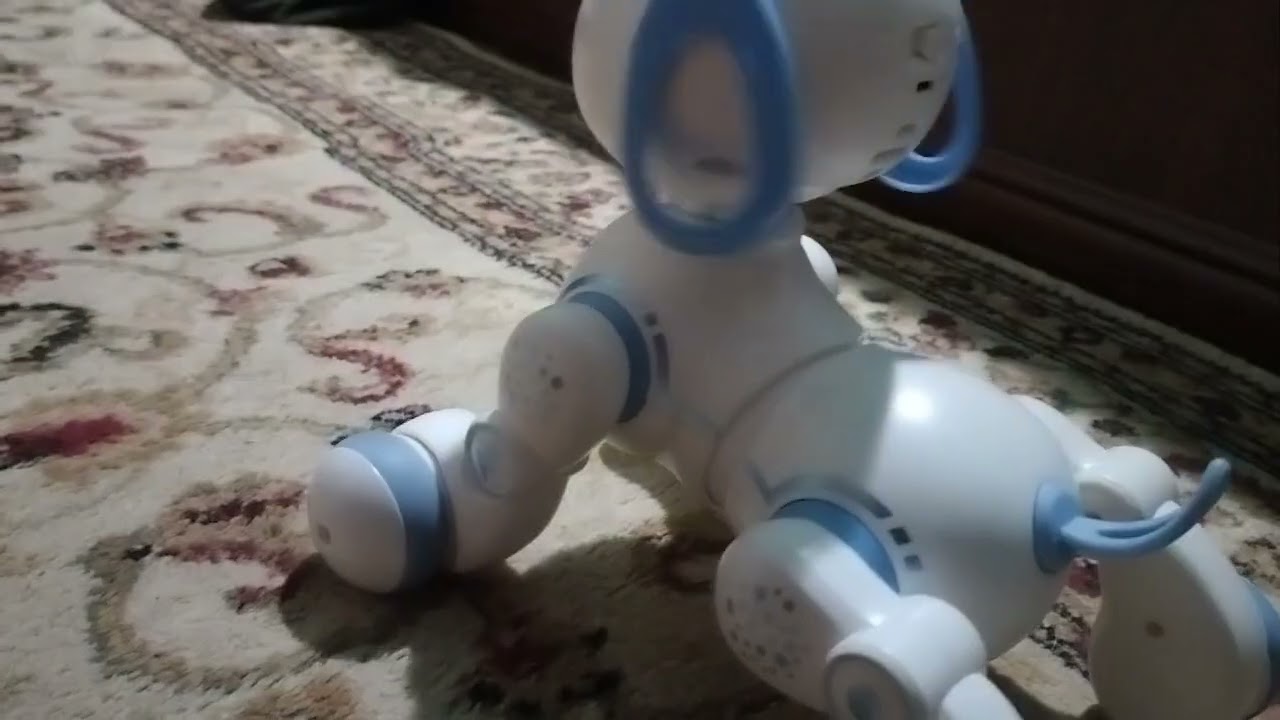 7 февраля 2026 г.