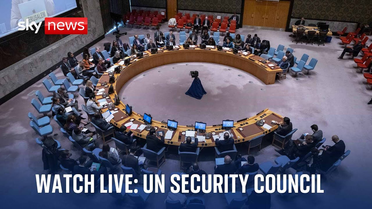 United Nations Security Council | Wednesday 11 December 2024