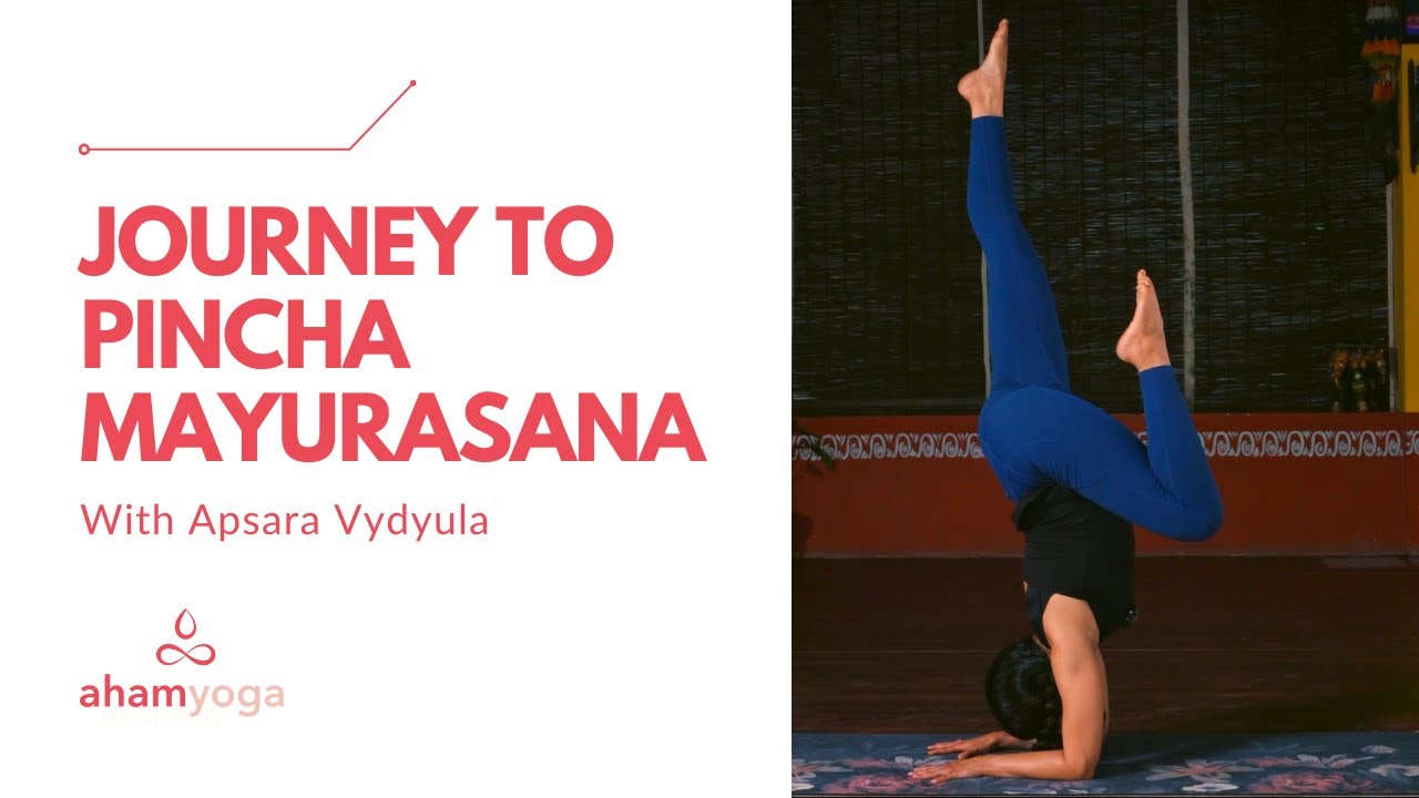 How To: Pincha Mayurasana | Forearm Balance Drills & Technique