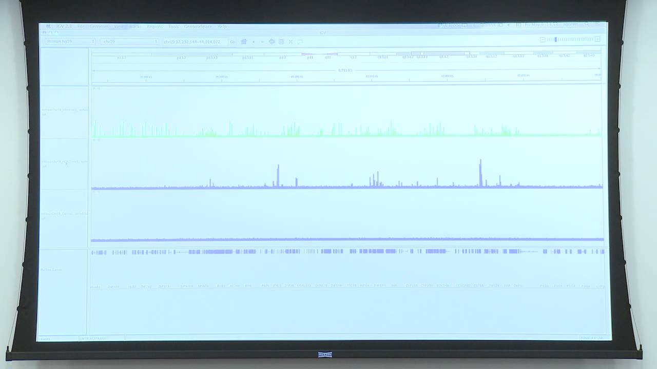 BroadE: Charting the Epigenome with ChIP - Basic Analyses of ChIP-Seq Data