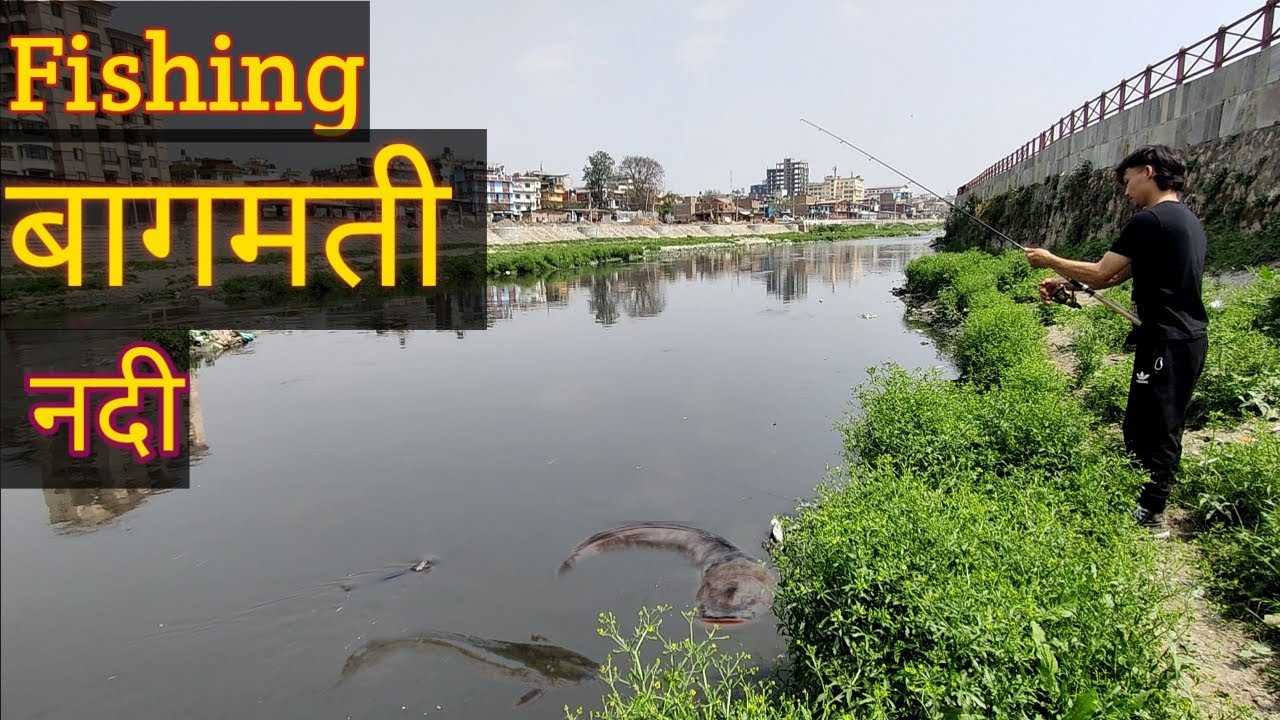 BAGMATI RIVER FISHING   || बागमती नदीमा माछा मार्दै 🇳🇵