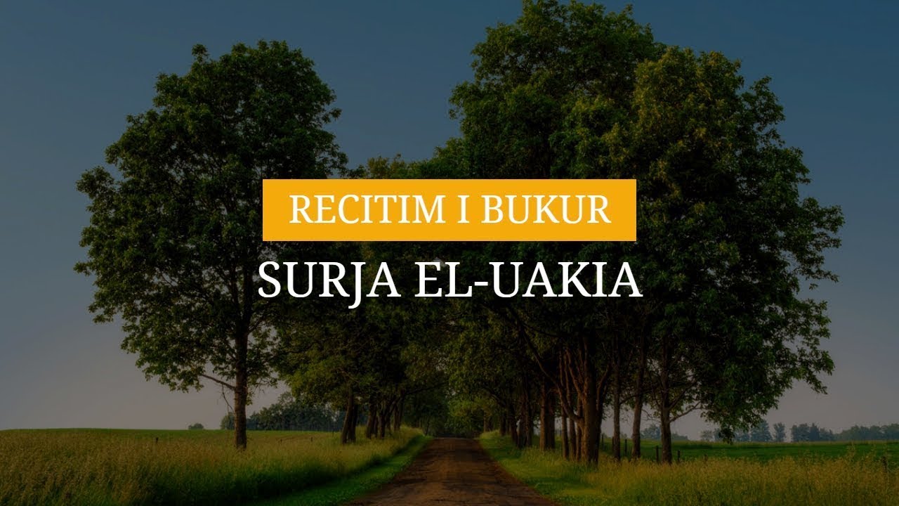 Surja Vakia
