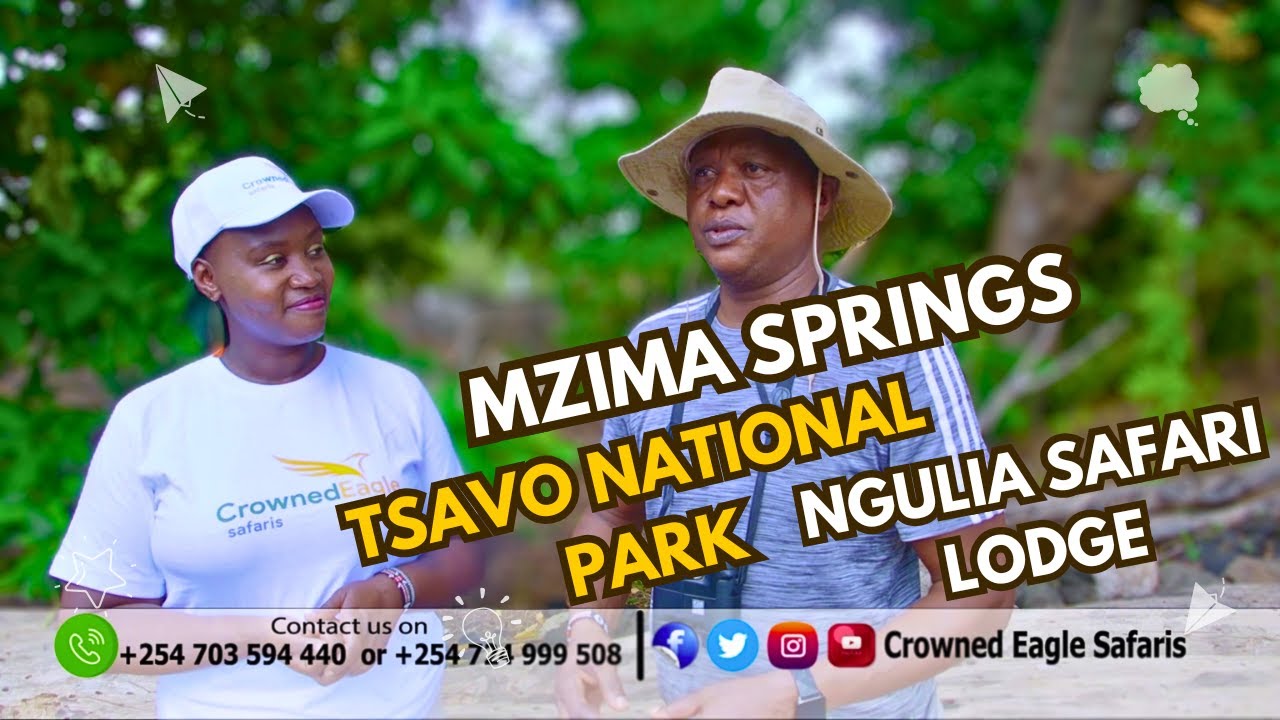 SPRING OF LIFE-MZIMA SPRINGS //TSAVO NATIOANAL PARK//NGULIA SAFARI LODGE