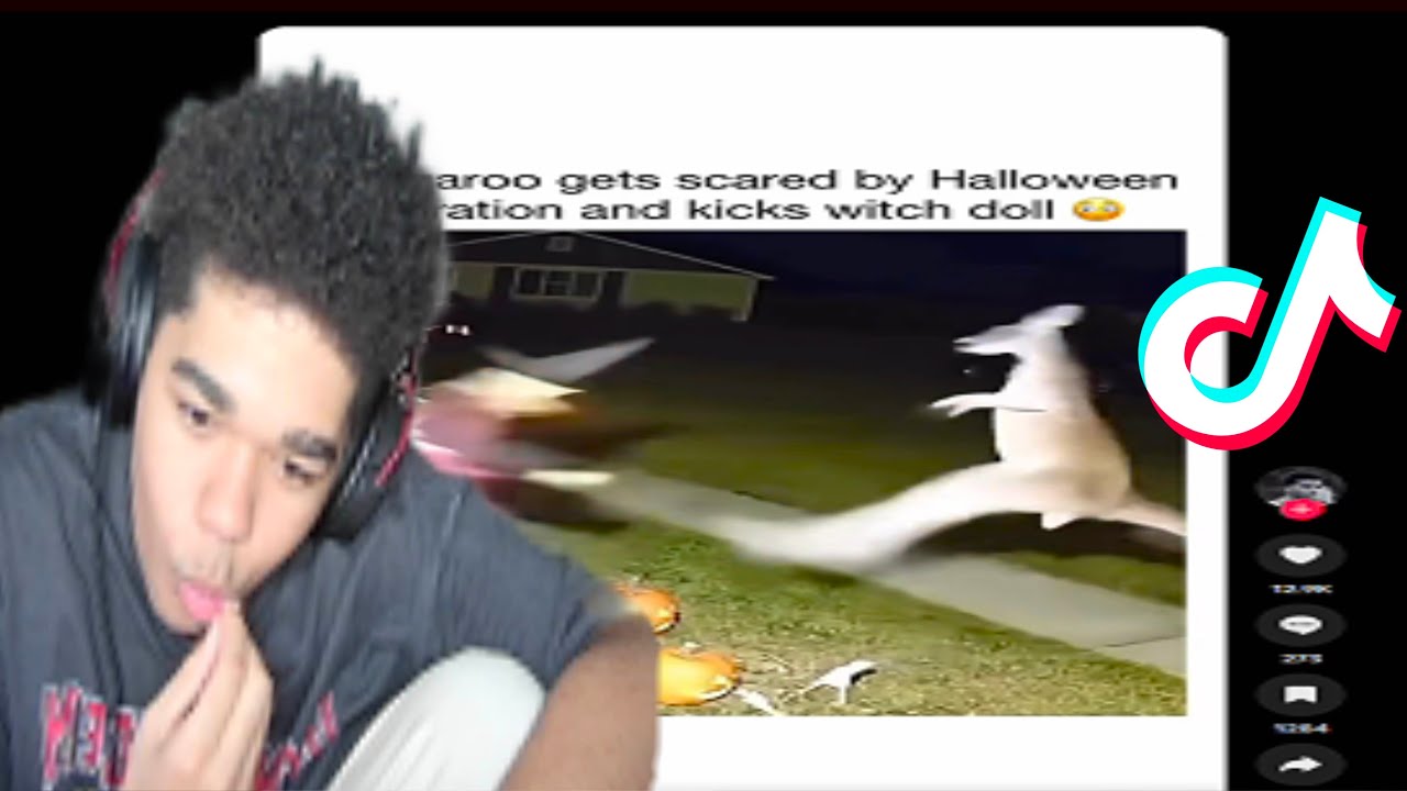 yvan477 reacts to FUNNY TikToks.... Kinda