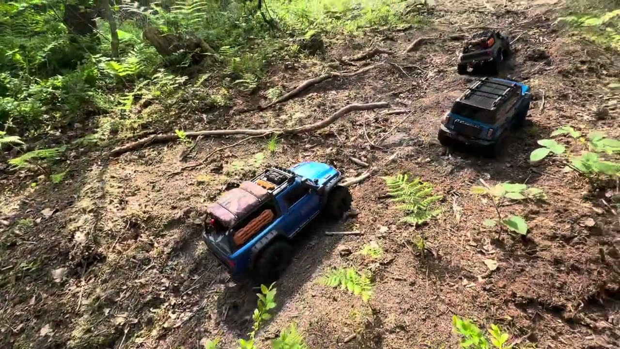 Trx4 Trailtrucks in the forrest.